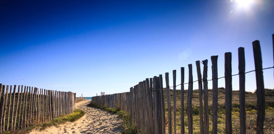 L'escale Catalane, 50m De La Plage, 36m2, Parking Canet-en-Roussillon